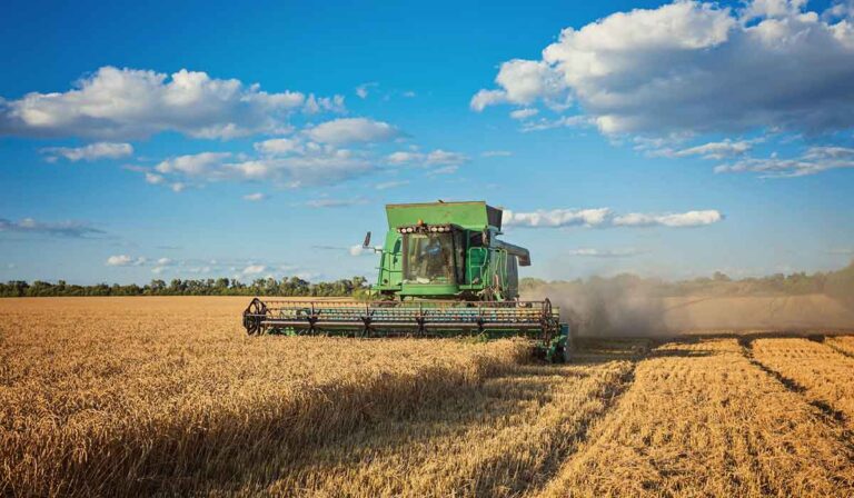 A sucessão no empreendimento agroindustrial